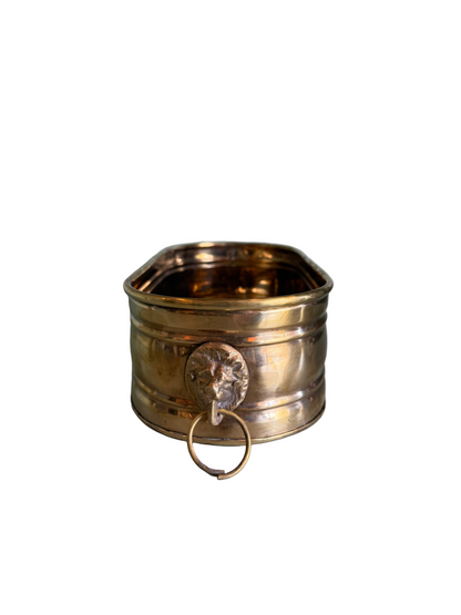 Brass Oval Planter Lion Ring Handles